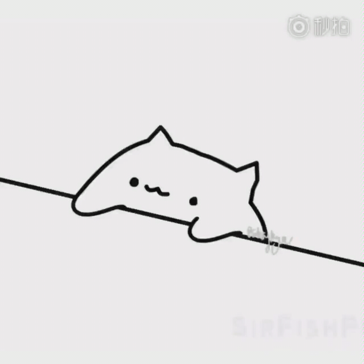 bongo cat