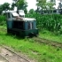 辽宁锦州金城造纸厂运输原材料的窄轨内燃小火车