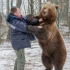 俄罗斯人是怎么对待熊的？