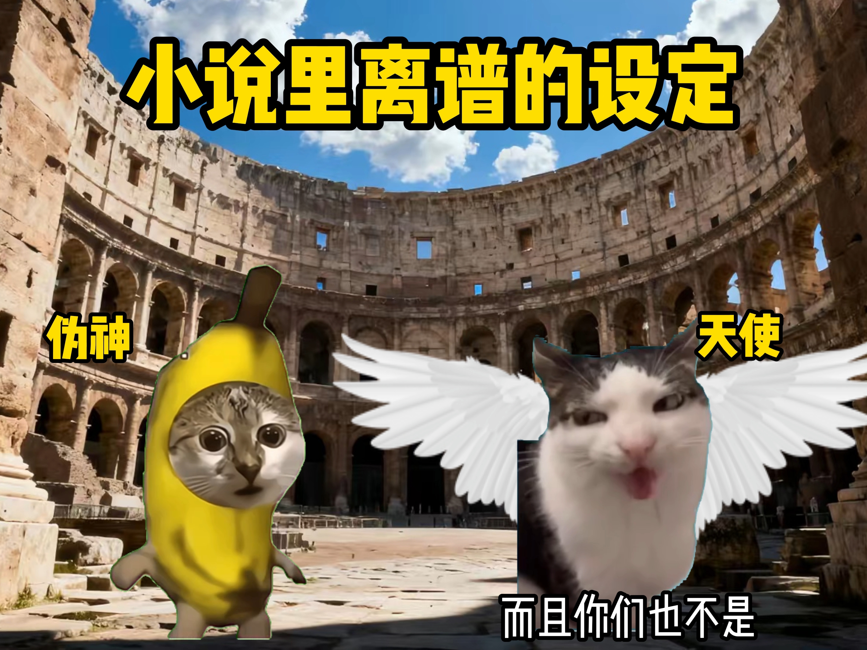 小说里离谱的设定