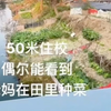 网友说学校距离家只有50米