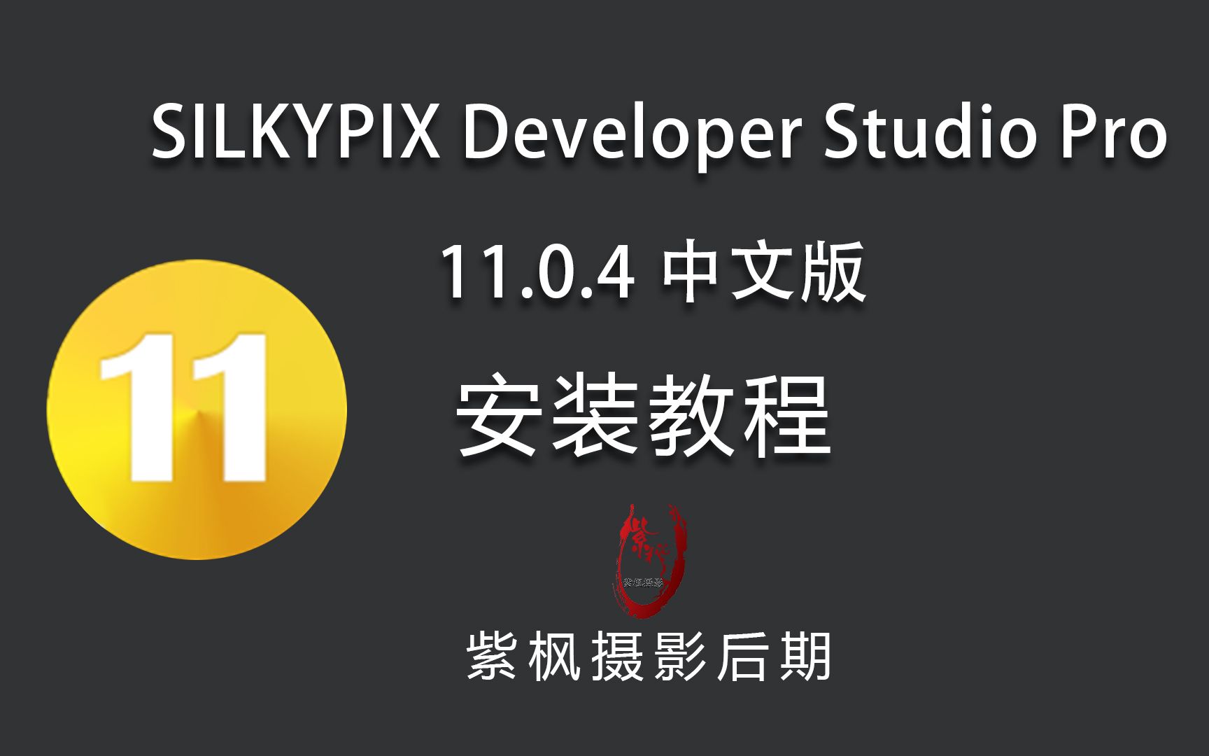 SILKYPIX Developer Studio PRO11 DVD-ROM版 その他 カメラ 家電・スマホ・カメラ 人気定番の