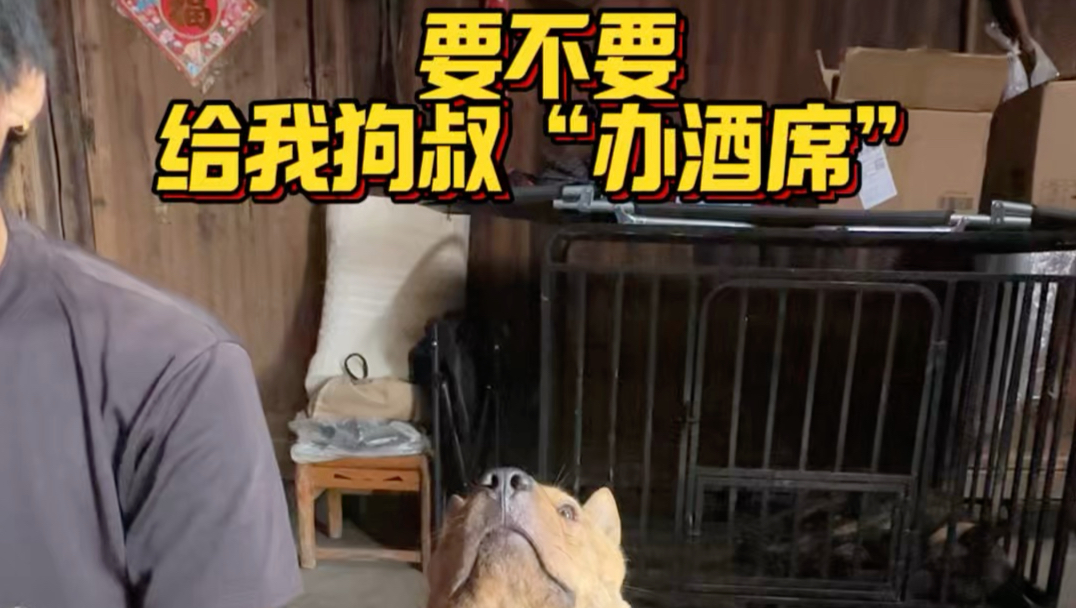 好纠结要不要给我狗叔办酒席