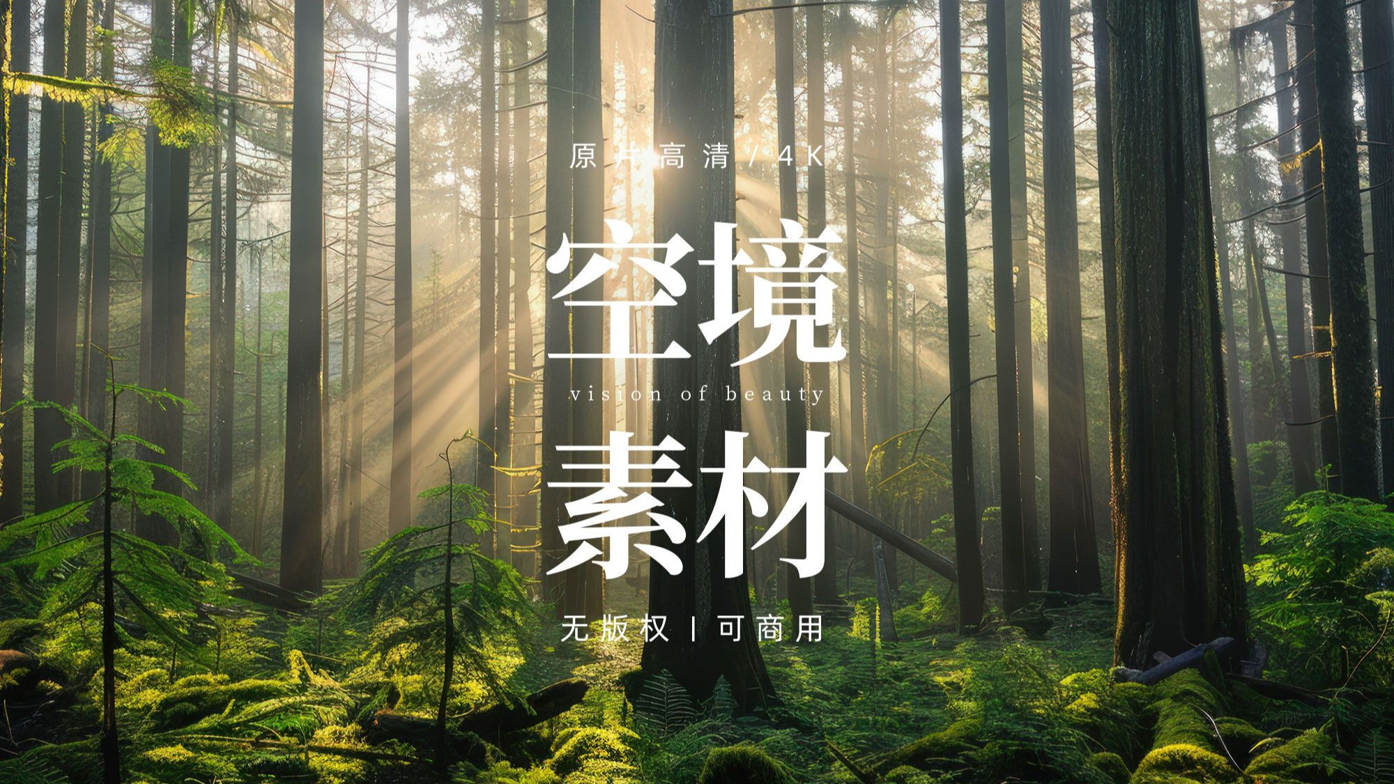 【剪辑空镜】森林丛林绿植植物视频素材