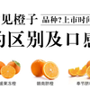 橙子合集｜常见18种橙子的区别及口感