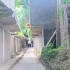 重庆太和镇老街（小甑子）散步vlog