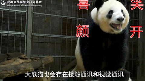 18d05fa159822cdb254fd19d15c5b8cf2c72c919.jpg@480w_270h_1c