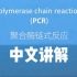 中文配音讲解PCR(聚合酶链式反应)