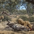 【自制熟肉】《复活剑齿虎》----目前最专业的古生物纪录片