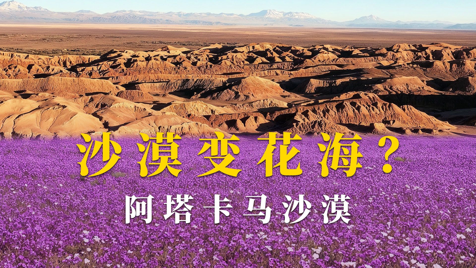 ”我见识到了自己的厉害“