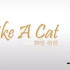 【舞哩】AOA-Like A Cat 猫步轻俏 萌萌 舞蹈教学 镜面教程 动作分解