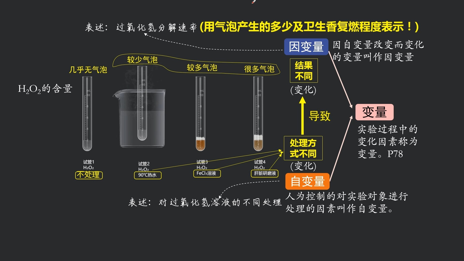 5.1降低化学反应活化能的酶——酶的作用和本质 第1节课