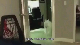 191430ae25c6082c1c5dff1f3a2cbb965c0a08a6.jpg@280w_158h_1c_100q.jpg