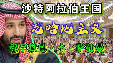 中东近代史——<em class="keyword">沙特阿拉伯</em>王国 瓦哈比教派主义 穆罕默德·本·萨勒曼