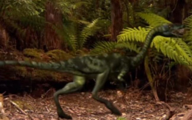 恐龙纪元：虚形龙。身长2.5米。体重20公斤。其它的像虚形龙是食肉动物虚形龙的外貌长得像普通爬虫类其实不然它行动的速度非常敏捷生性好奇警觉性强肚子饿的恐龙什么。