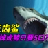 【巨齿鲨】深渊巨口以鲸为食从母鲨肚子里就开启了暴虐一生