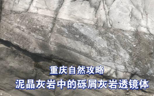 重庆自然攻略，泥晶灰岩中的砾屑灰岩透镜体