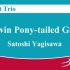 单簧管三重奏 马尾辫女孩儿 八木澤教司 Twin Pony-tailed Girl - Clarinet Trio by