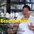 什么是生态针灸？—— Ecopuncture