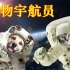 盘点那些为太空探索做出贡献的先驱“动物宇航员”- 太空狗“莱卡”并不是第1只进入太空的动物