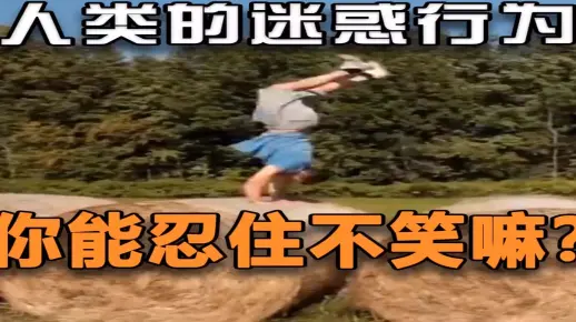 【每日一遍，谨防抑郁】人类们的迷惑行为，你能忍住不笑吗？2