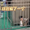 小男孩为躲避跳操躲了起来，结果转头被路人向老师举报，网友：小小年纪就见识到了“社会险恶”（来源：@微龙游）#小朋友的迷惑行为 #校园生活 #萌娃搞笑日常 #湖南
