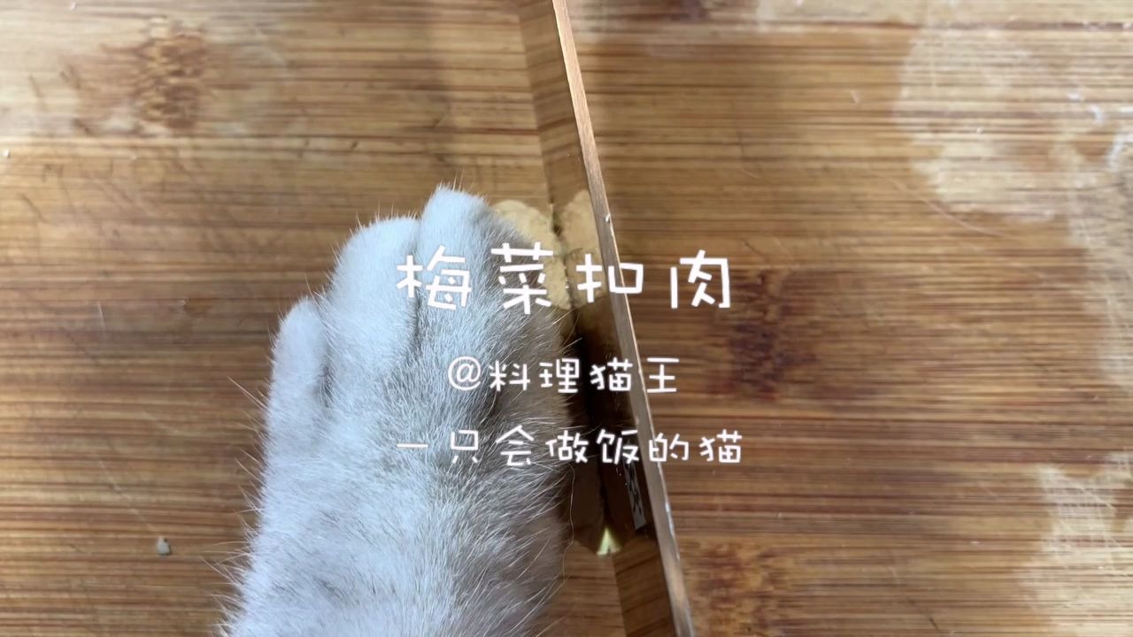 料理猫王猫咪版梅菜扣肉我能吃五碗饭
