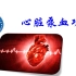 【高职高专生理学】四、循环生理----心脏泵血功能一