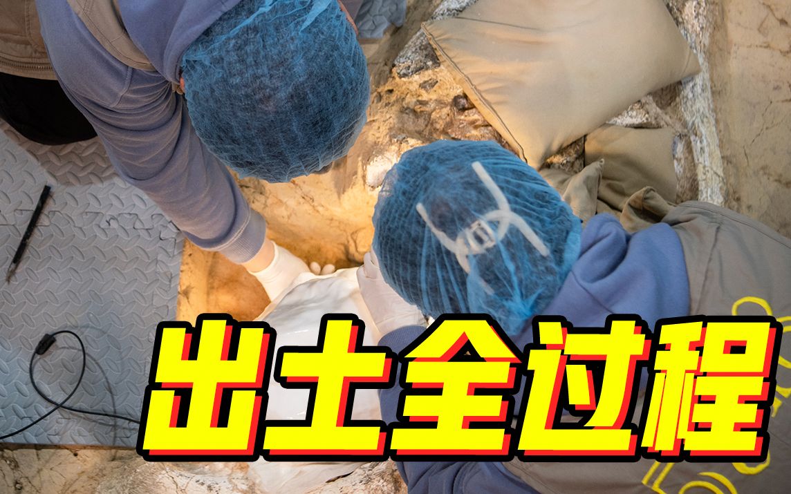 “郧县人”3号头骨化石出土过程资料画面公布