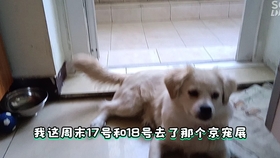 199450cbd1602308cde49d71cb5525b03915d4eb.jpg@280w_158h_1c_100q.jpg
