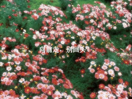 「原创纯音乐/五千粉感谢」“朝着春天走去，别烂在过去和梦里”