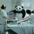 史上最搞笑最坑爹埃及电视广告——不要对熊猫说不!'Never say no to panda！
