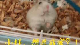 19c6e954776cf4e9f5e37b3066a0531e941b4f16.jpg@280w_158h_1c_100q.jpg
