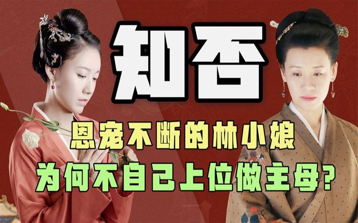 《知否》林小娘仗着万般宠爱,为何不踢掉大娘子,自己跻身上位?哔哩哔哩bilibili