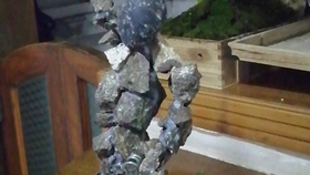 怎么养鱼不会死小金鱼 19ea36c262cff7c9c5787b1a05cc9a0daf09ba29.jpg@280w_158h_1c_100q.jpg