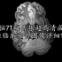 迄今为止最完整最高清人脑的7T磁共振成像，比临床头部图像详细1000倍