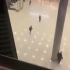 俄罗斯莫斯科音乐厅恐怖袭击现场视频