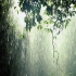 【雨声，深睡眠，放松，冥想】Taylor Swift by the rain - Folklore+evermore 部