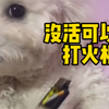 没活可以咬打火机
