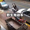 野生电动车