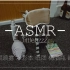 【ASMR】物件tapping初尝试：喷雾·水彩本·纸团·梅酒瓶·眼罩【安眠向】