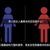 人的生殖系统，这次小朋友都能看懂了
