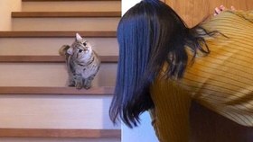 1a4f230ea763d22b2ac724e41218bb837d3c1a2a.jpg@280w_158h_1c_100q.jpg