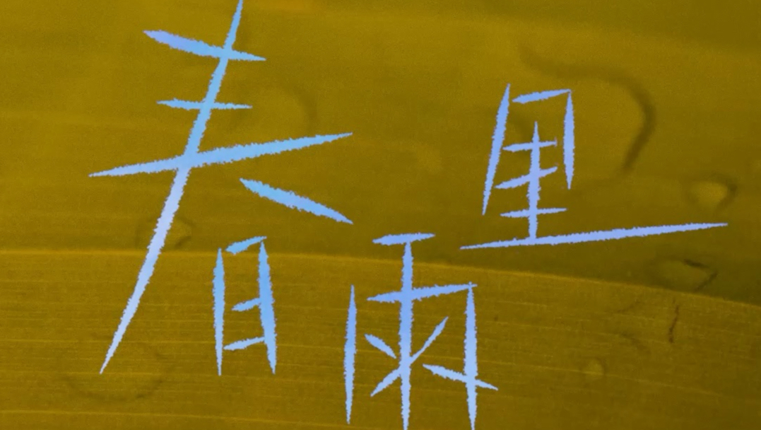 每一道湿都是身体记住世界的方法，风轻舞发梢，不会让你倒下。《春雨里》录音棚🎬上线。