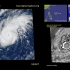 不鸣则已，一鸣惊人——202019台风天鹅卫星云图