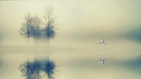 1ab4b2f3dbe73f122c42bf67ff8ce7e7800dc000.jpg@280w_158h_1c_100q.jpg