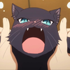当养的猫变成了猫娘