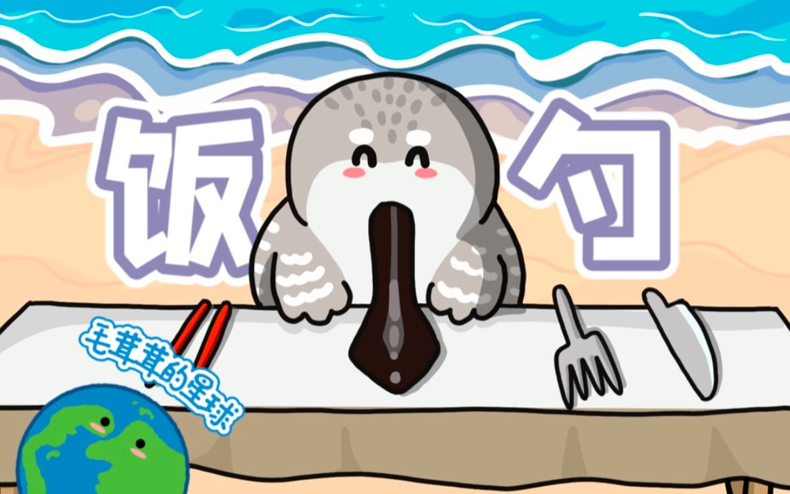 【勺嘴鹬】自带饭勺的小鸟，仅剩几百只！