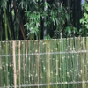 枫林园绿竹休息区扩建下