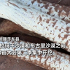 近日，新疆莎车县，塔克拉玛干沙漠和布古里沙漠之间，1000亩大芸迎来第二季采挖